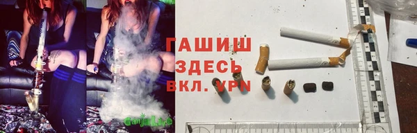гидра Балахна