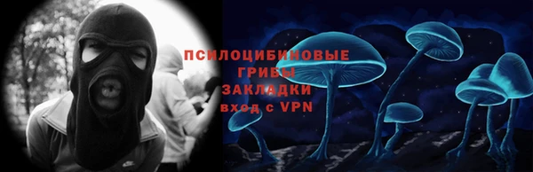 гидра Балахна