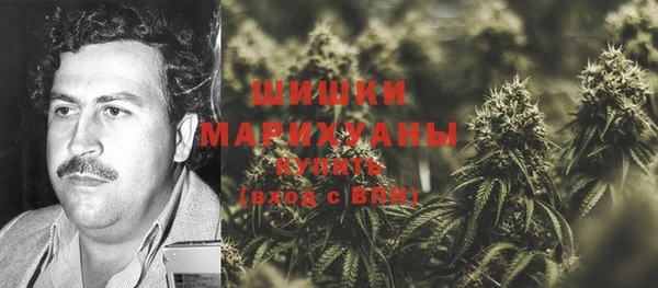 гидра Балахна