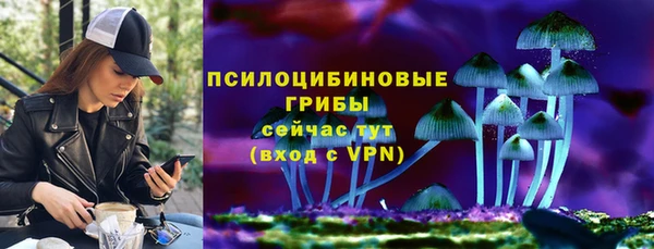 гидра Балахна