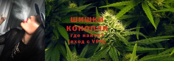 гидра Балахна